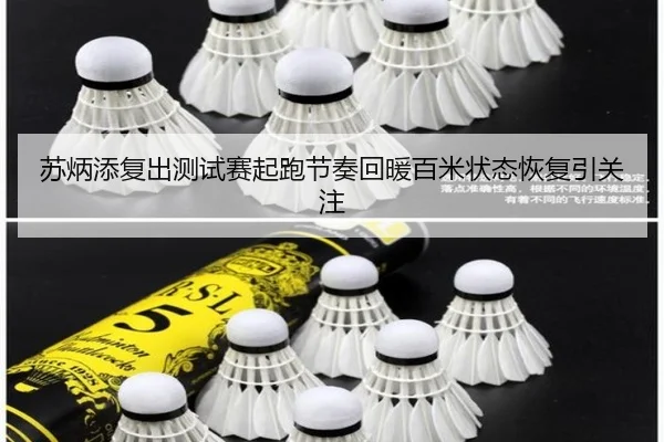 苏炳添复出测试赛起跑节奏回暖百米状态恢复引关注